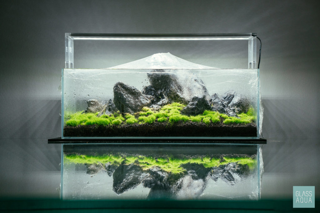 Glass Aqua Planted Aquarium Tank Dry Start Method Guide
