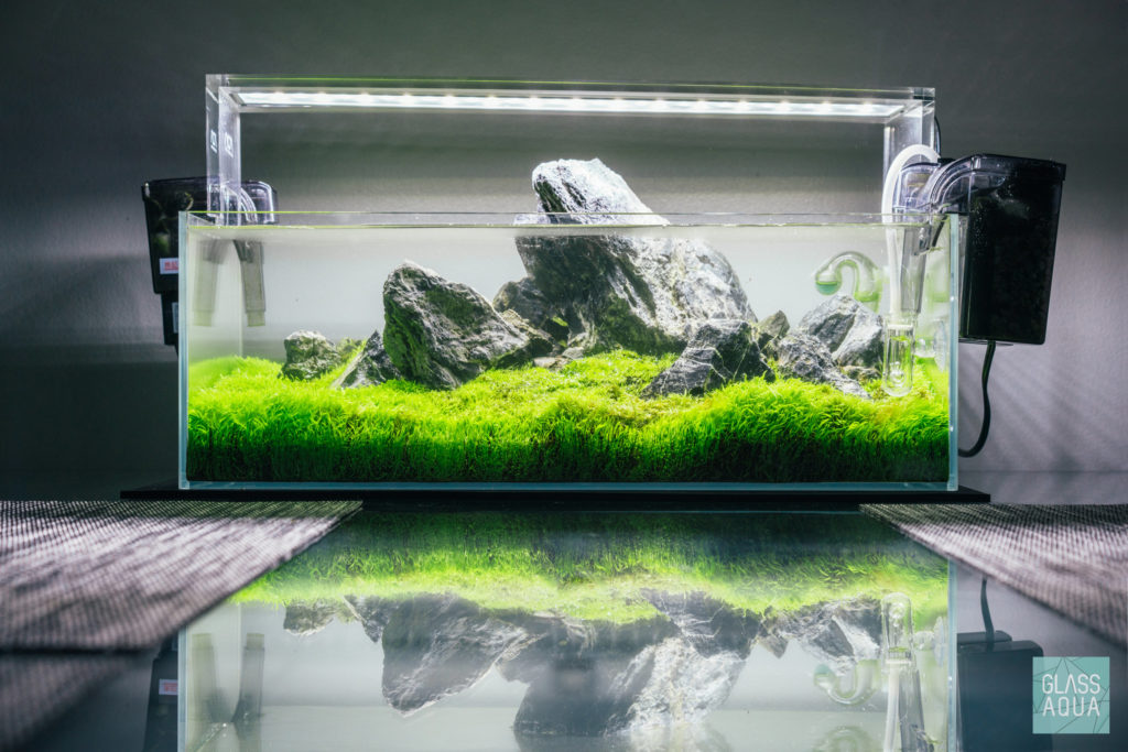 Glass Aqua Planted Aquarium Tank Dry Start Method Guide