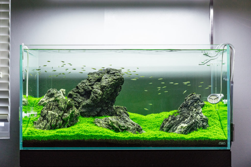 Glass Aqua Planted Tank 90p