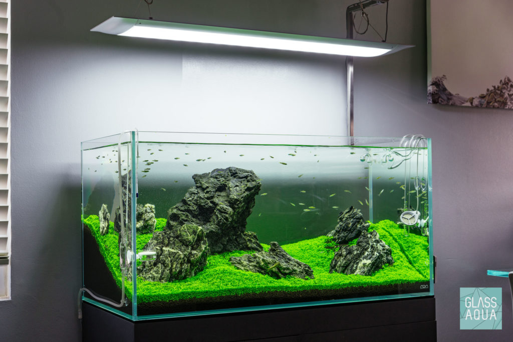 Glass Aqua Planted Tank 90p