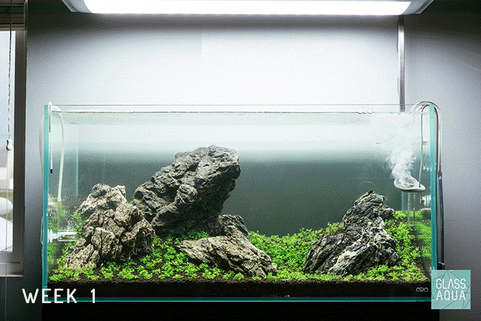 Tropica Aquarium Soil Planted Tank Substrate