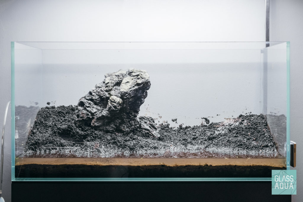 ADA 90p Planted Aquarium Tank Iwagumi Aquascape Hardscape