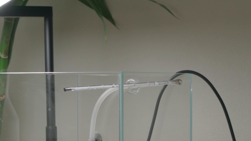 Glass Aqua Aqua-darium Planted Aquarium Paludarium
