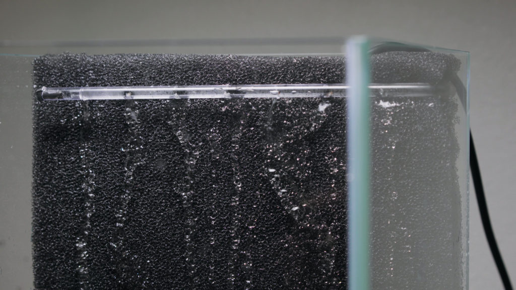 Glass Aqua Aqua-darium Planted Aquarium Paludarium