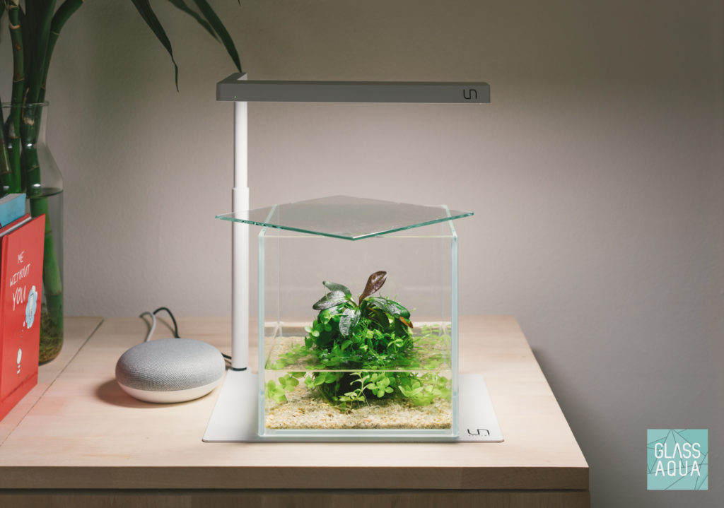 Glass Aqua Wabi Kusa UNS 16C Cube Aquarium