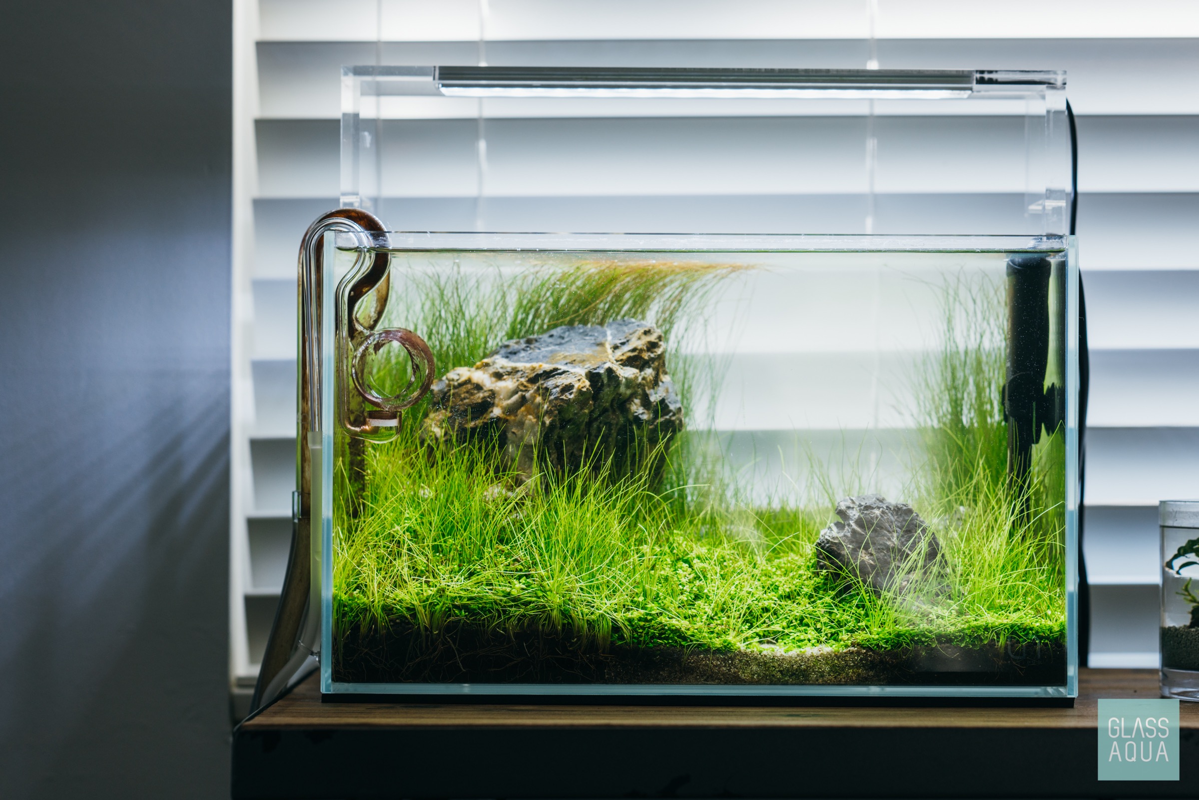 Planted Tank Aquascape Planted Tank Aquascape