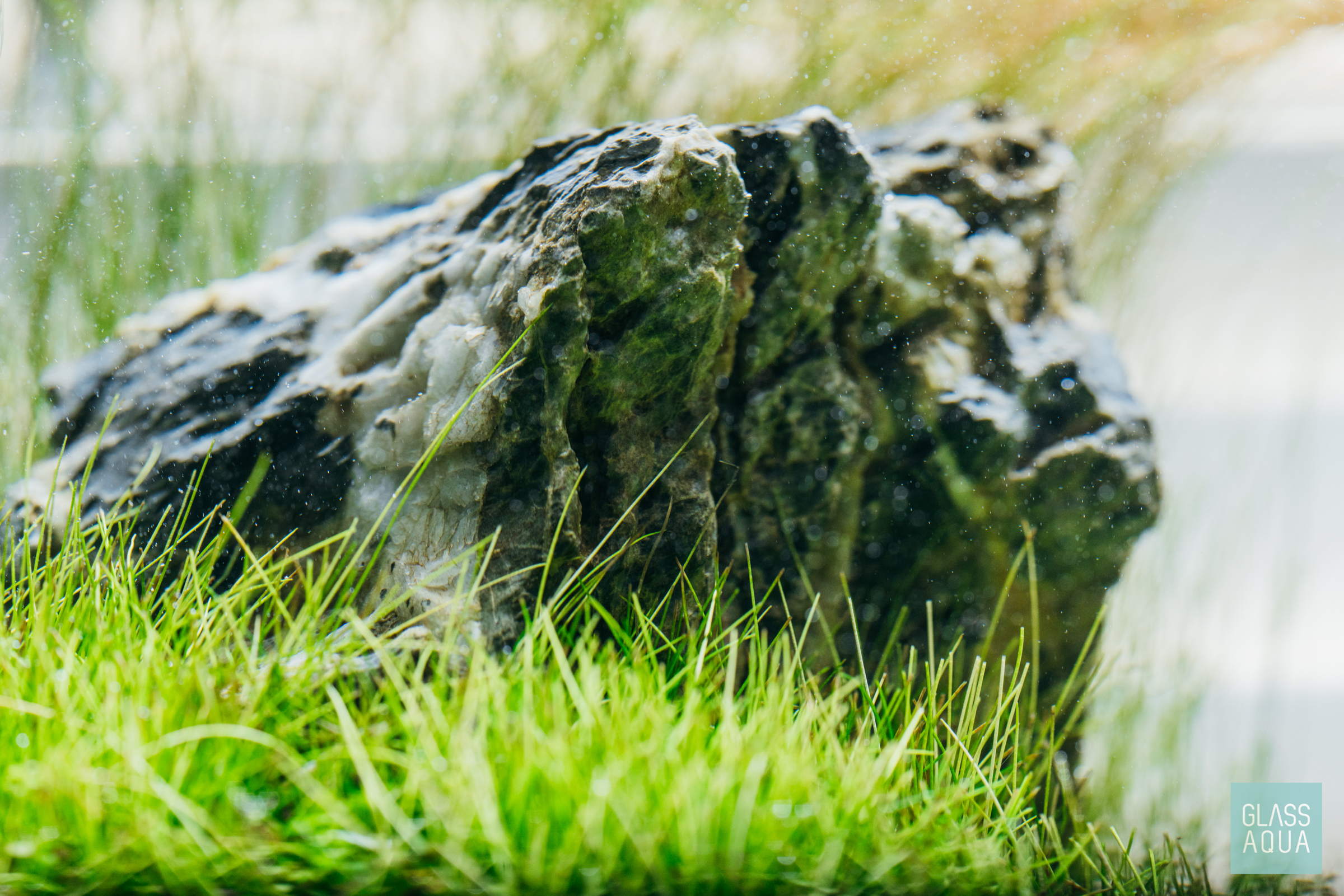 Aquascape Aquascape