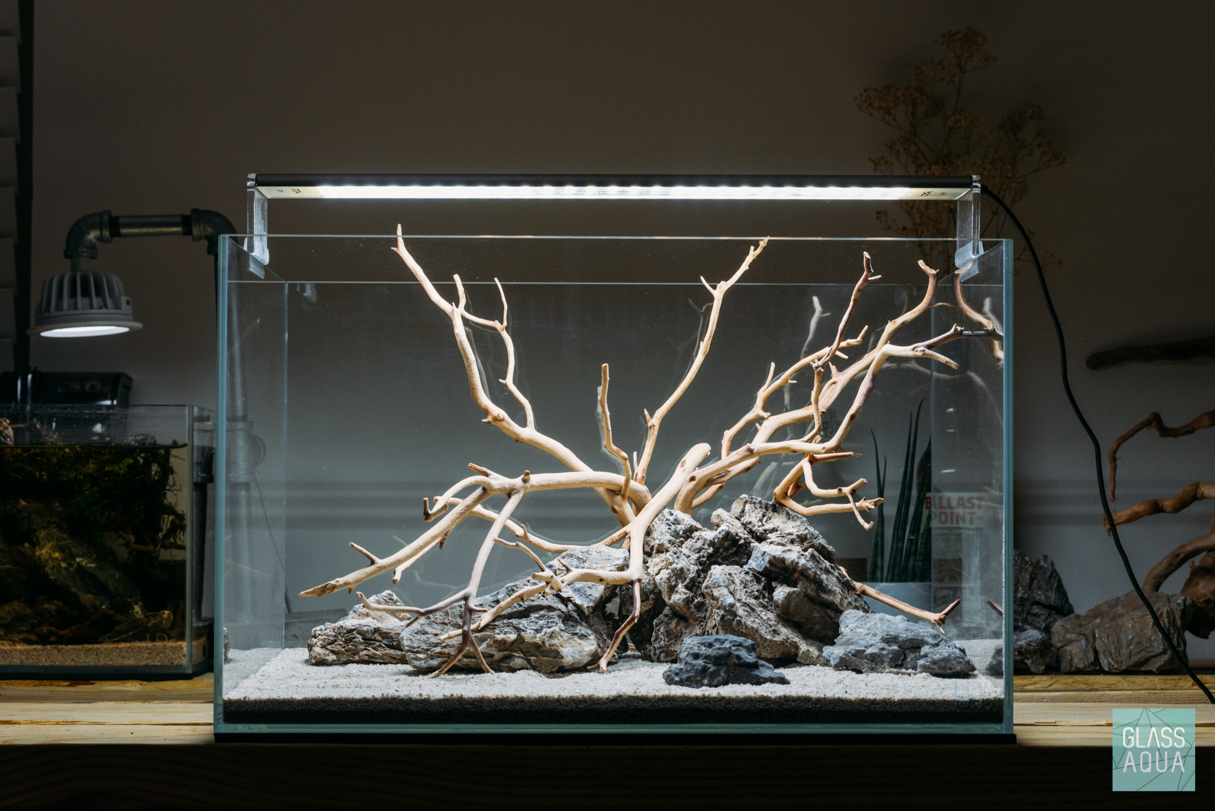 Planted Tank Aquascape Planted Tank Aquascape