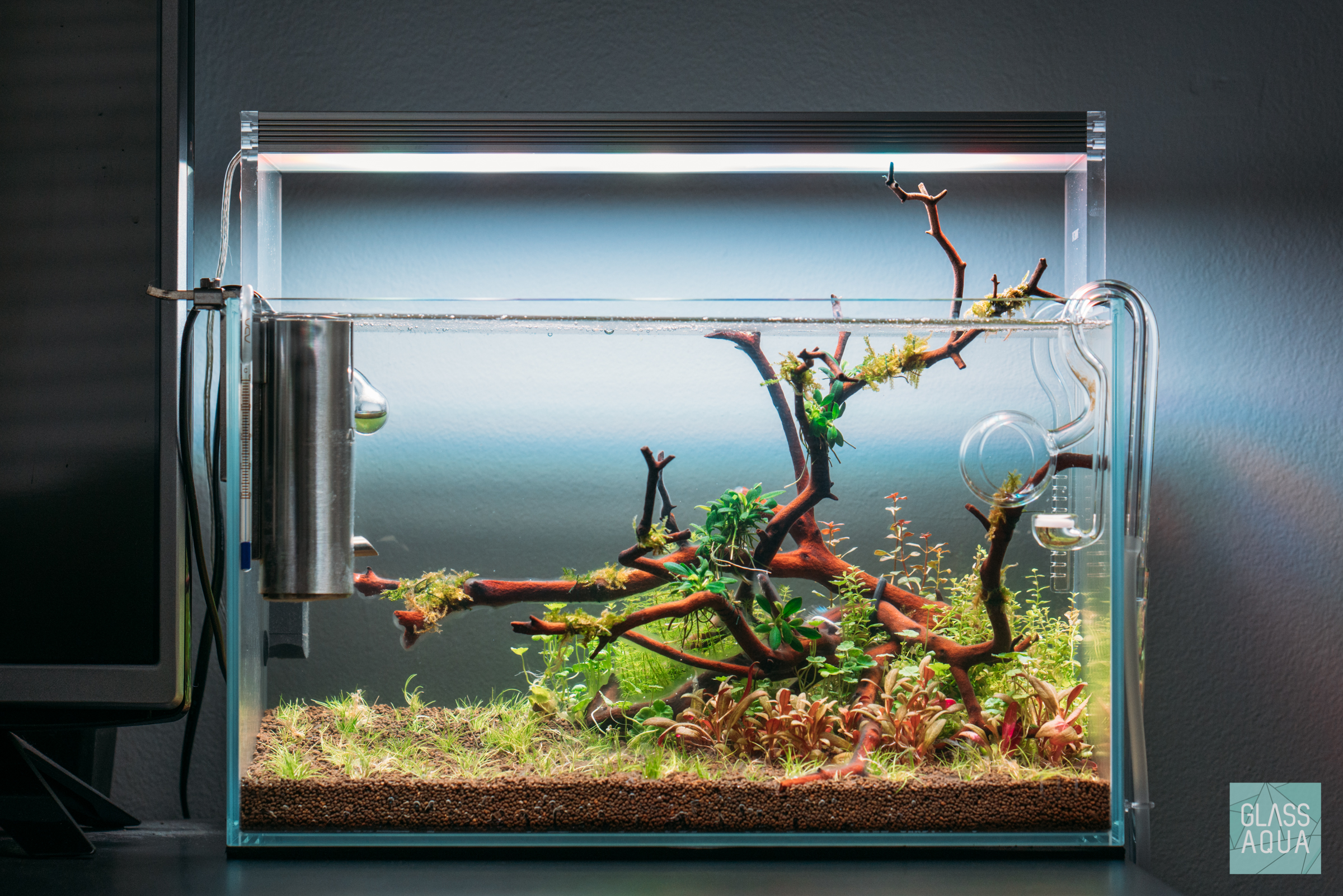 Planted Nano Betta Fish Tank Planted Nano Betta Fish Tank