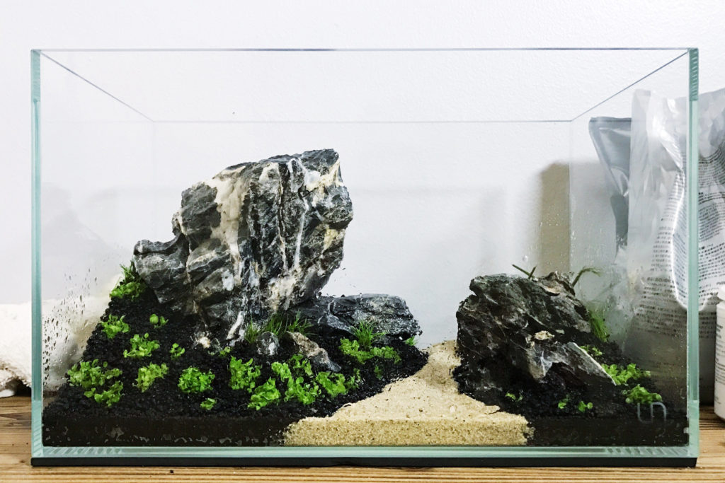 Iwagumi Planted Nano Aquarium Tank