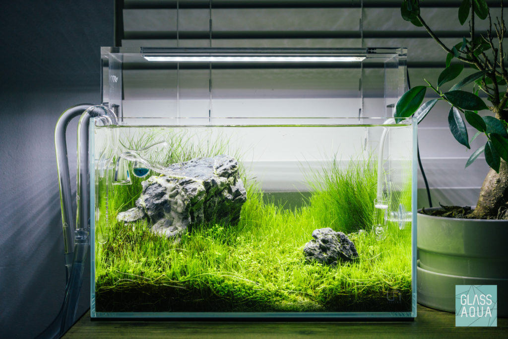 Glass Aqua Planted Tank Nano